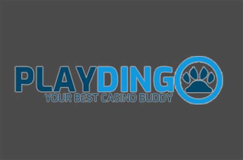 casino dingo|play dingo casino.